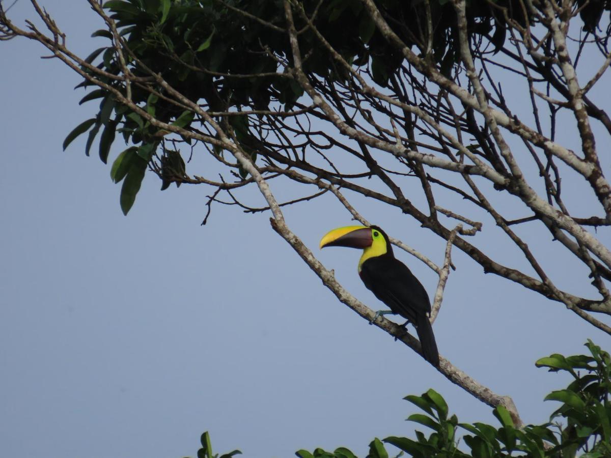 Konsenda San Blas Chepo  Buitenkant foto